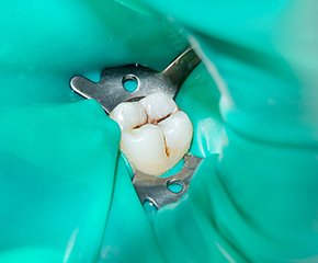 トピックス_06 イメージ1