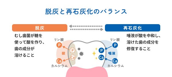脱灰と再石灰化のバランス イメージ